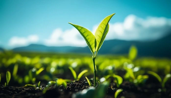 Réforme des redevances de l'eau au 1er janvier 2025, quels impacts pour les communes et EPCI ?